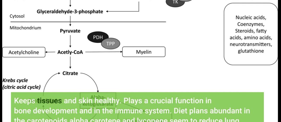 The Facts About Overview of Vitamins - Disorders of Nutrition - Merck Manuals Revealed