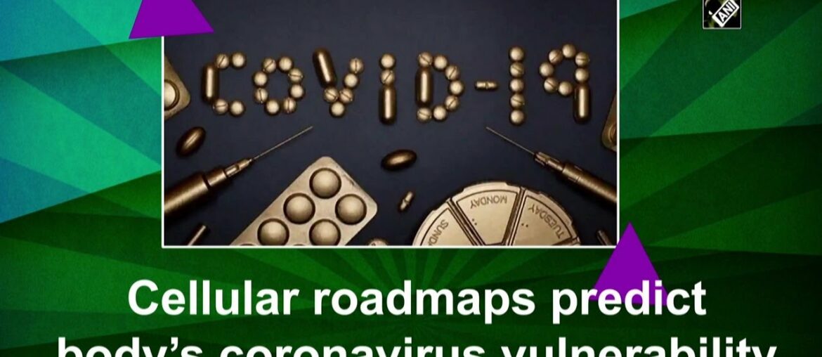 Cellular roadmaps predict body’s coronavirus vulnerability