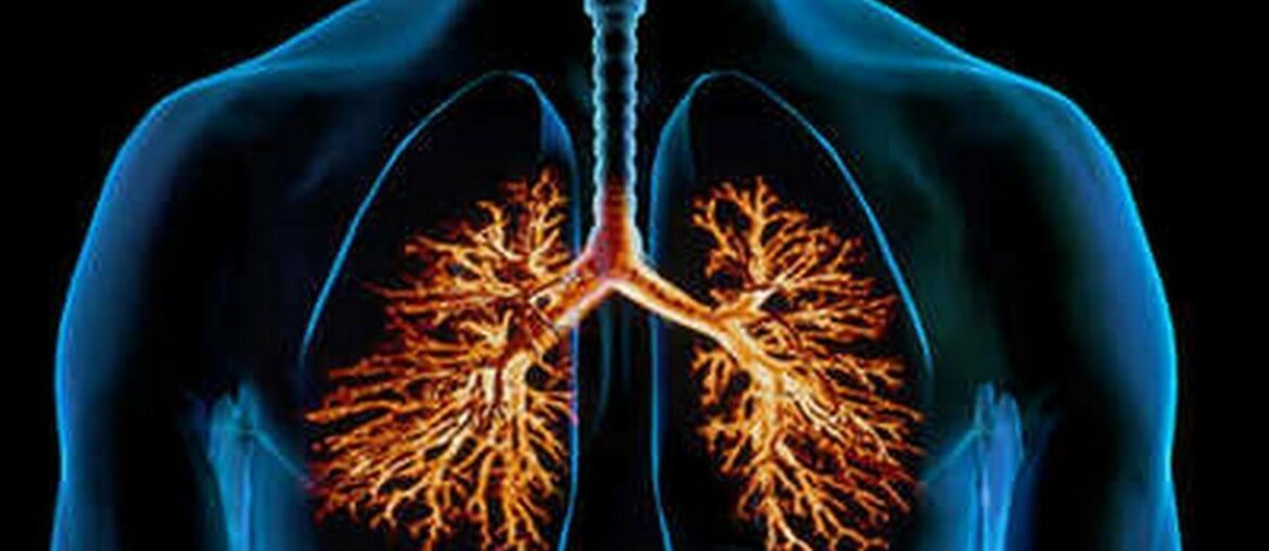 Want To Clear Mucus From Your Lungs And Give An Instant Boost To Your Immune System Try This!