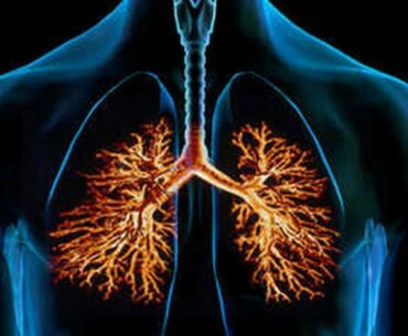 Want To Clear Mucus From Your Lungs And Give An Instant Boost To Your Immune System Try This!