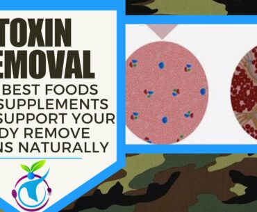 Toxin Removal - The best foods and supplements that remove toxins from your body