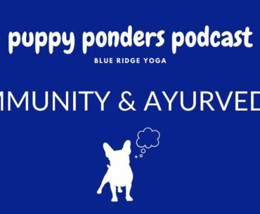 Puppy Ponders Episode 1: Immunity & Ayurveda During COVID-19