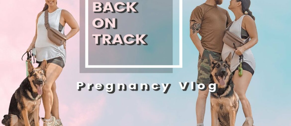 getting back on track pregnancy vlog