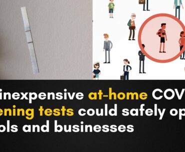 COVID 19 Rapid Tests: At-Home Screening with Paper Strip Antigen Tests