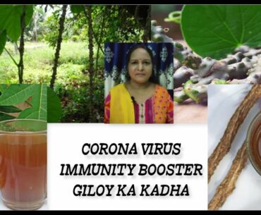 Giloy Ka Kadha | Immunity Booster | Giloy Ka Kadha Kaise Bnaye