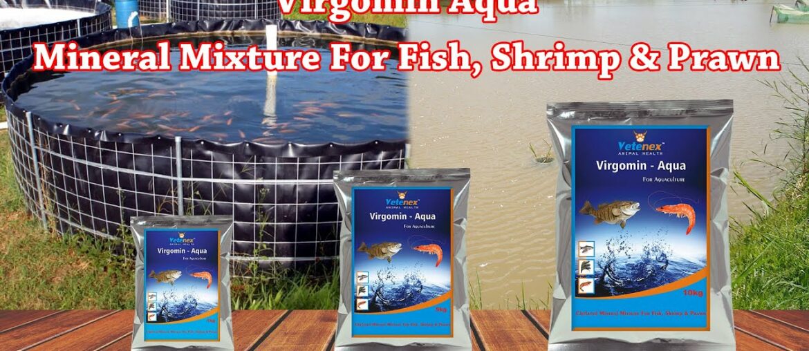 Aqua Feed Supplement | Fish Growth Booster | Mineral Mixture | Vitamin | Manufacturer | Hindi