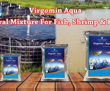 Aqua Feed Supplement | Fish Growth Booster | Mineral Mixture | Vitamin | Manufacturer | Hindi