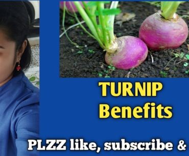 Turnip greens|Turnips |vegetable |vitamins |Nutrition|2020