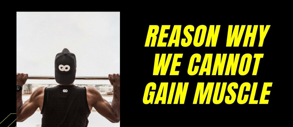 How to gain muscles, weight, mass, end your digestion problems