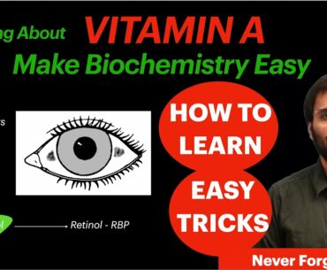 Vitamin A Biochemistry | Transport, Functions, Deficiency | Vitamins