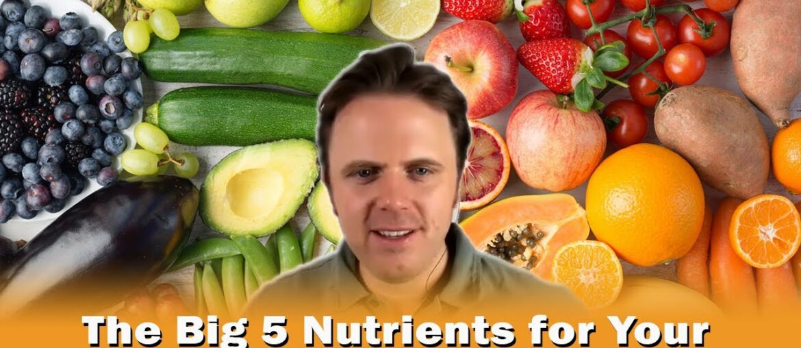 The Big 5 Nutrients for Your Immune System