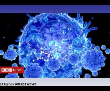Scientists target coronavirus immunity puzzle