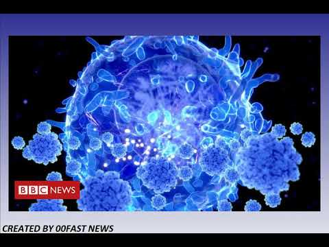 Scientists target coronavirus immunity puzzle