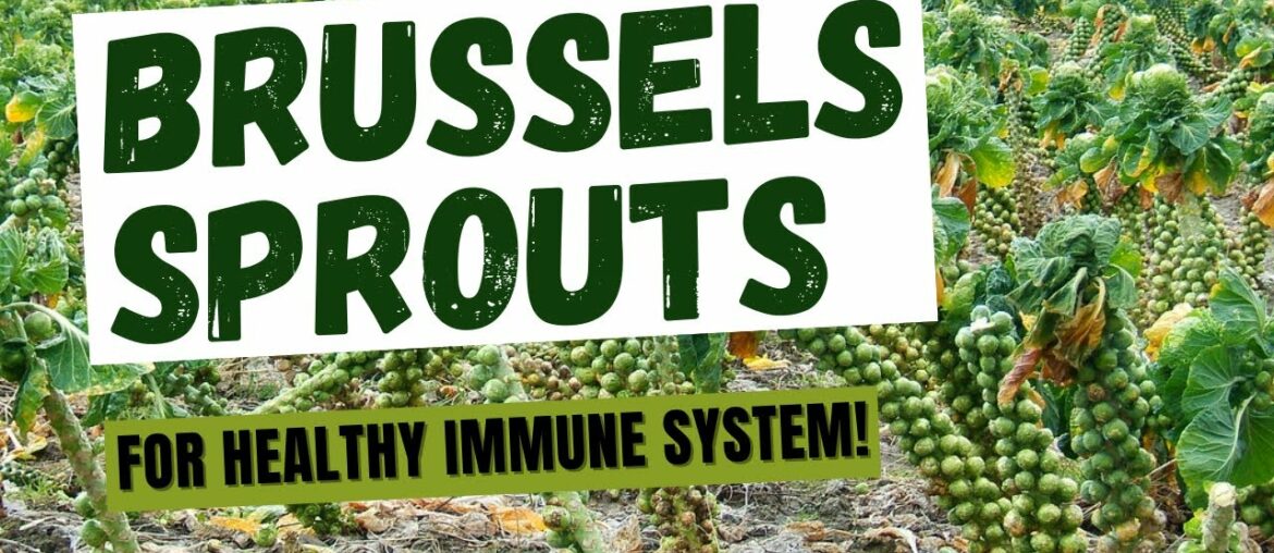 How Brussels Sprouts Affect The Immune System