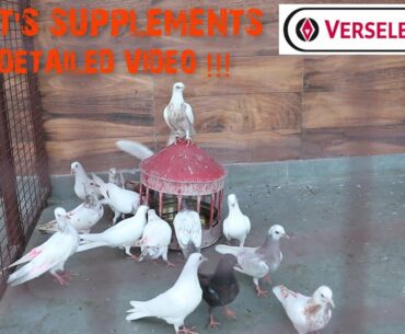 PIGEON SPORTS SUPPLEMENTS FULL DETAILED VIDEO|| KABOOTAR BAAZI JEETNE KE LEA  PRODUCTS DETAIL ME.