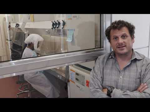 Coronavirus vaccine development at the University of Pittsburgh