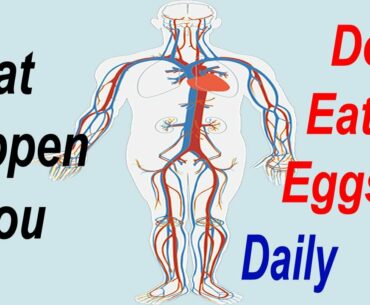 What happen if You Don’t Eat Eggs Daily | Fitness Facts | Eggs Benefits | Start Eating 2 Eggs a Day