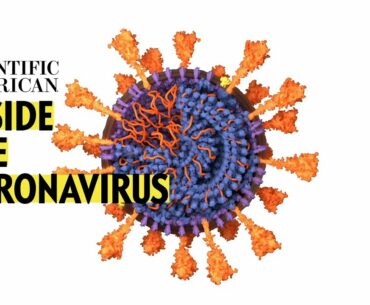 Coronavirus: How It Infects Us and How We Might Stop It