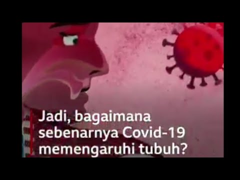 Bahaya : proses penyebaran covid-19/corona virus. dan efek ke tubuh kita yg dirasakan seperti apa?