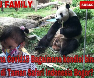 Ke TAMAN SAFARI INDONESIA di Masa Covid19 || EKSPLORE KUY!!