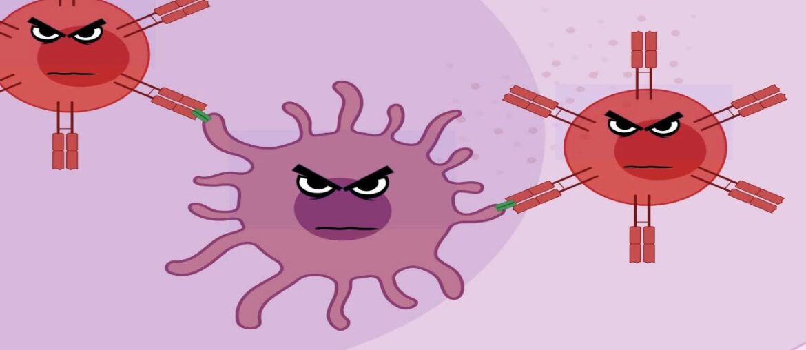 Understanding Covid-19: from the diaries of a macrophage [Animation]