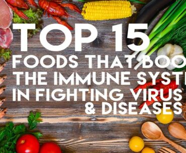 Top 15 Foods That Boost the Immune System  in Fighting Virus & Diseases by Mike Healthy Hacks