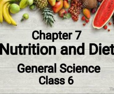 question & answer "Nutrition and Diet" chapter 7 class 6 Enviromental studies maharashta board