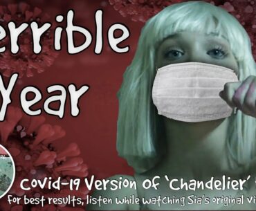 Terrible Year - Covid-19 Version of Chandelier by Sia