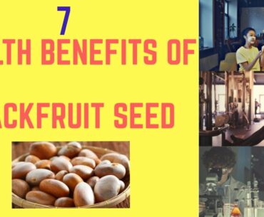 Cheap Indian Superfood Jackfruit Seed