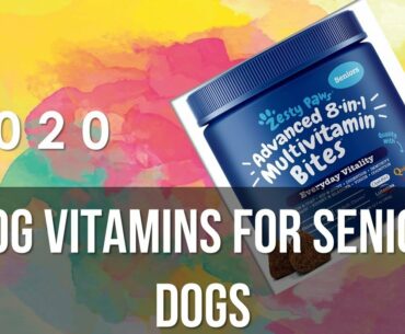 5 Dog Vitamins for Senior Dogs You Can Have It From Amazon