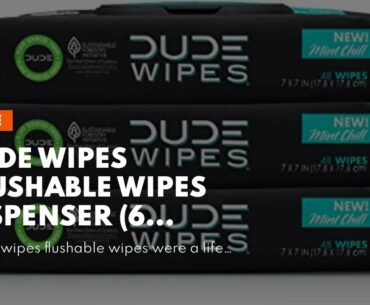 DUDE Wipes Flushable Wipes Dispenser (6 Packs, 48 Wipes Each), Unscented Wet Wipes with Vitamin...