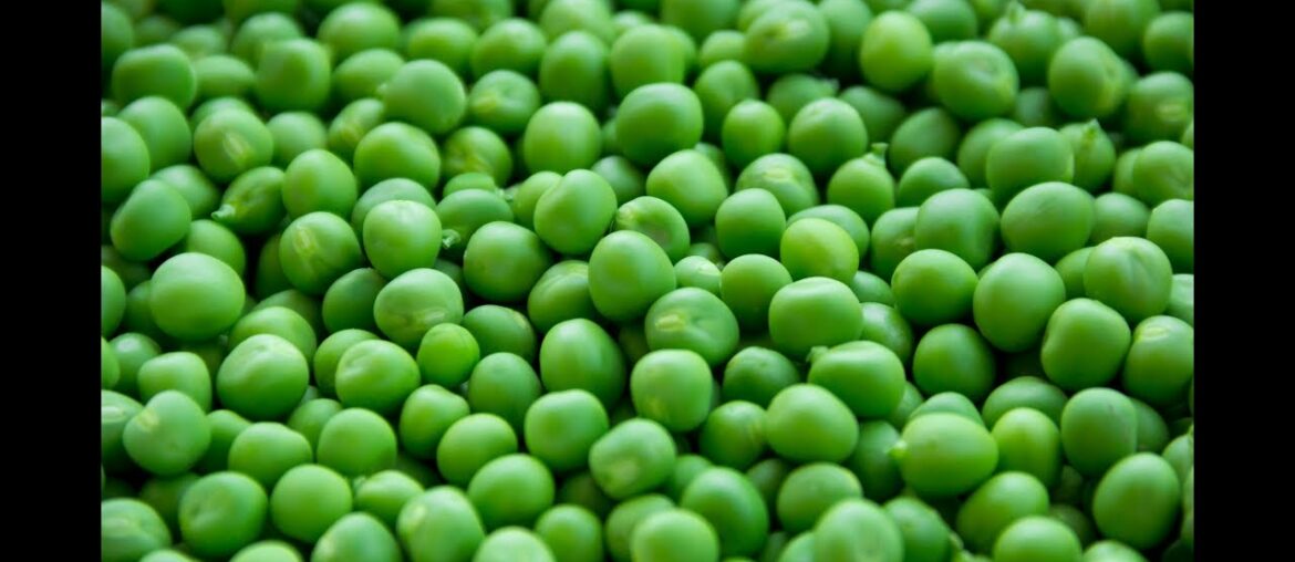 Green Peas 101-Nutrition and Health Benefits