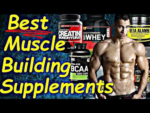 which supplement is best for bodybuilding?