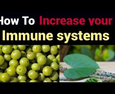 Fastest immunity booster things. 4 ingredients can build your immunity.