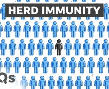 Achieving Herd Immunity: How vaccines and masks are the keys to fight coronavirus | Just The FAQs