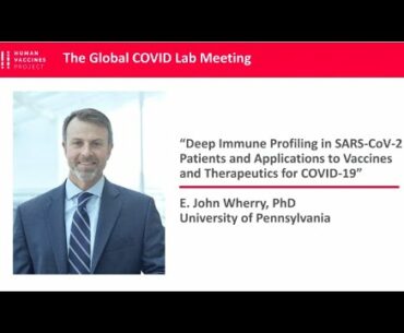 Dr. John Wherry: Deep Immune Profiling in SARS-CoV-2 Patients