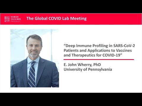 Dr. John Wherry: Deep Immune Profiling in SARS-CoV-2 Patients