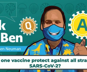 Can one vaccine protect against all strains of SARS-CoV-2?  #AskDrBen #CoronavirusQuestions