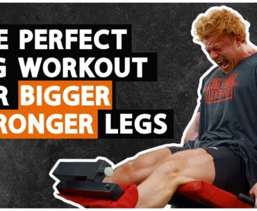 The Perfect Leg Workout For BIGGER Legs | My top tips
