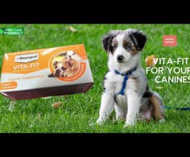 Vita-Fit vitamin supplement for doggies #dog #puppies #vitafit #vitaminsupplement