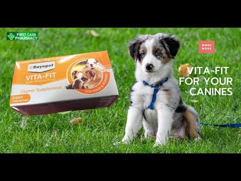 Vita-Fit vitamin supplement for doggies #dog #puppies #vitafit #vitaminsupplement