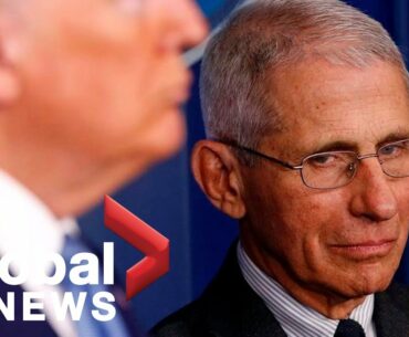 Coronavirus: Fauci supports Canada border closure, calls US COVID-19 numbers "unacceptably high"