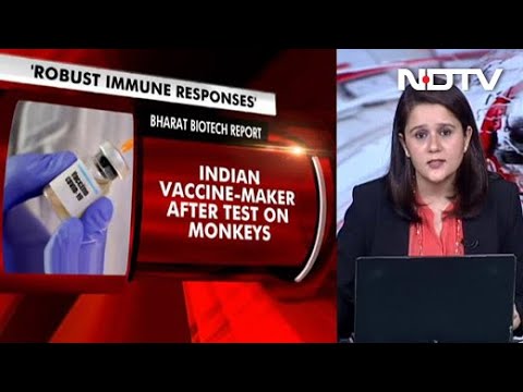 "Robust Immune Responses": Indian Vaccine-Maker After Test On Monkeys