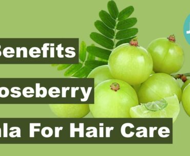 6 Exciting Health Benefits Of Gooseberry Or Amla For Hair Care | Jispahealth.com | Remedies | Hair