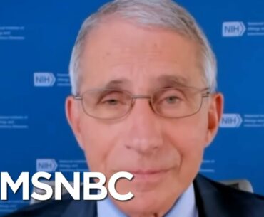 'The System Works': Fauci Assures Trials Will Find A Safe Coronavirus Vaccine | MSNBC