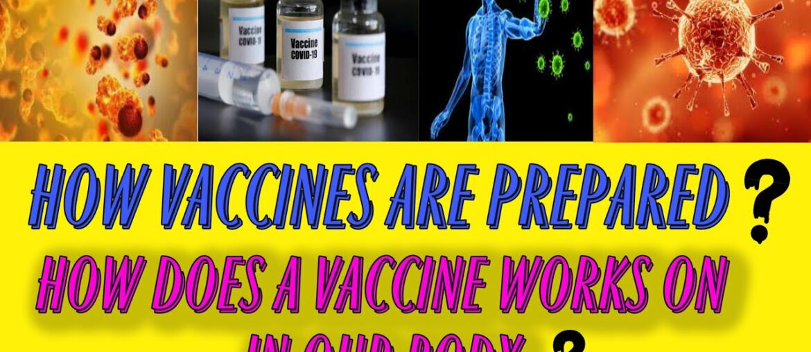 How Vaccines Are Prepared | What Is a Vaccine | Pros and cons of vaccines | Ismart Student