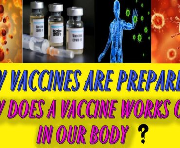 How Vaccines Are Prepared | What Is a Vaccine | Pros and cons of vaccines | Ismart Student