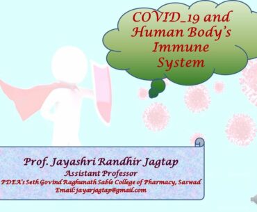 COVID 19 and Human Body's Immune System