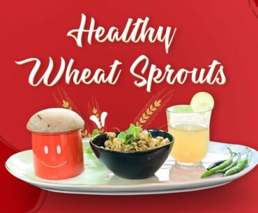 Healthy Wheat Sprouts