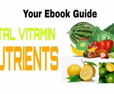 YOUR EBOOK: VITAL VITAMIN NUTRIENTS